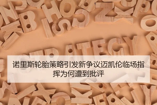 nuo-li-si-lun-tai-ce-lve-yin-fa-xin-zheng-yi-mai-kai-lun-lin-chang-zhi-hui-wei-he-zao-dao-pi-ping-2-459.jpg